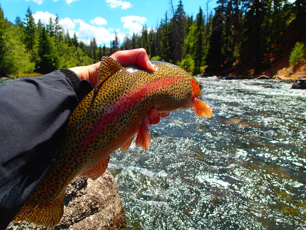 fly fishing photography - Home